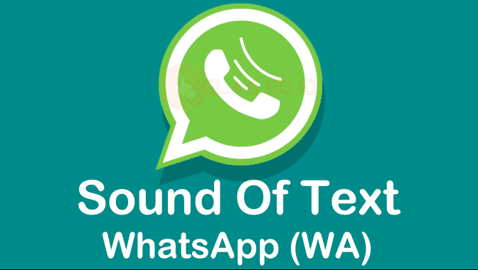 Tentang Sound Of Text WA