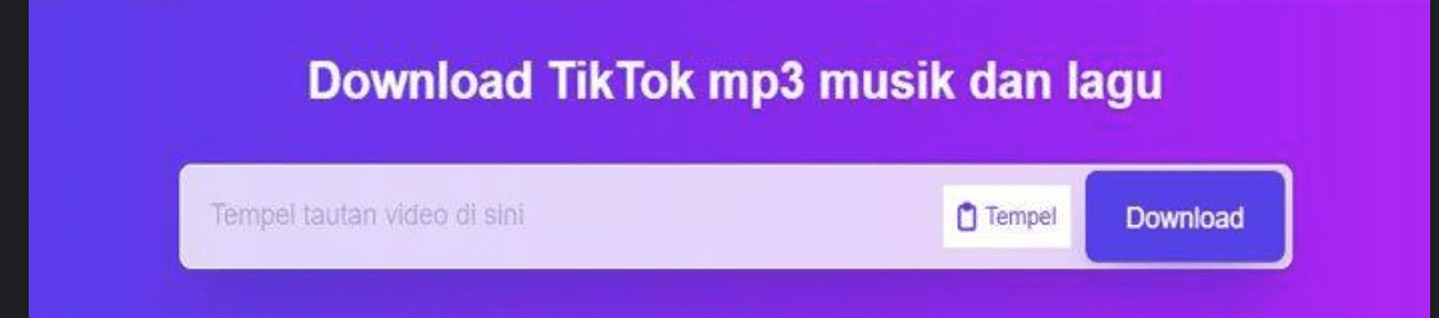SSSTikTok MP3