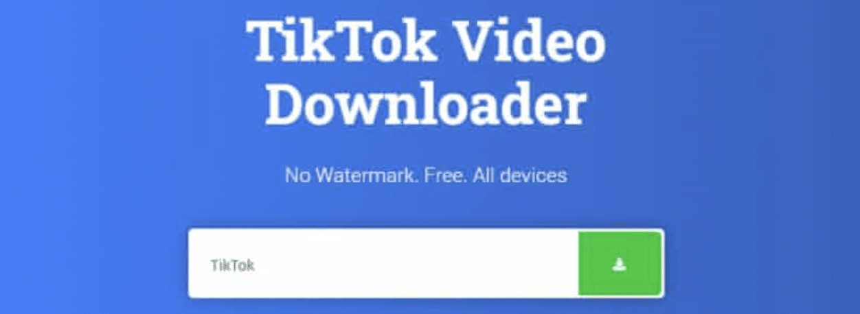 Fitur-Fitur SnapTik Video TikTok Downloader